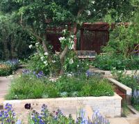 Gardening article image