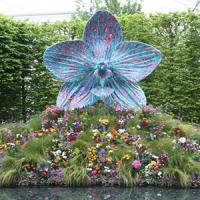 Episode 3: The 2013 Chelsea Flower Show Episode 3: The 2013 Chelsea Flower Show