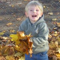 Episode 20: Gardening Jobs and Plants of Interest for November Episode 20: Gardening Jobs and Plants of Interest for November