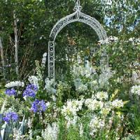 Episode 17: Hampton Court Flower Show Interviews & Gardening Jobs for August Episode 17: Hampton Court Flower Show Interviews & Gardening Jobs for August