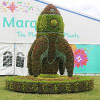 Episode 35: RHS Hampton Court Palace Flower Show & Gardening Jobs for July Episode 35: RHS Hampton Court Palace Flower Show & Gardening Jobs for July