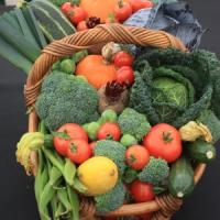 Episode 19: Malvern Autumn Flower Show & Gardening Jobs for October Episode 19: Malvern Autumn Flower Show & Gardening Jobs for October